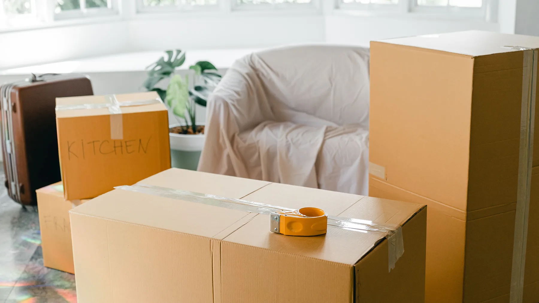 A bright room with stacked cardboard moving boxes labelled by hand, a dust-sheet covered armchair, a suitcase, and a potted plant