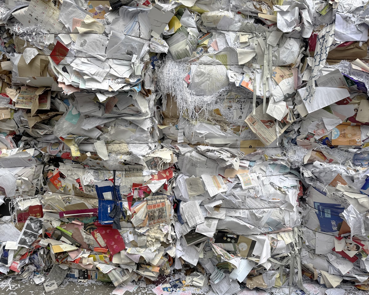 Compressed bales of sorted paper and cardboard at a recycling facility